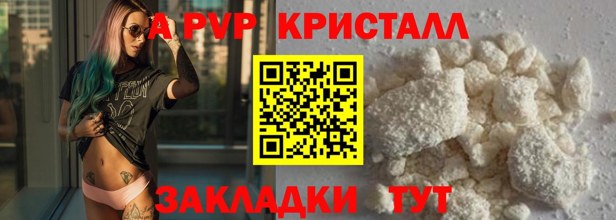 A PVP СК КРИС Выборг