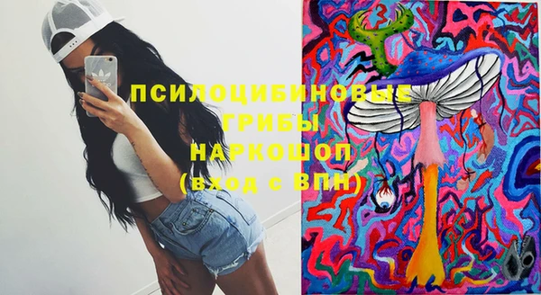 мдпв Бугульма