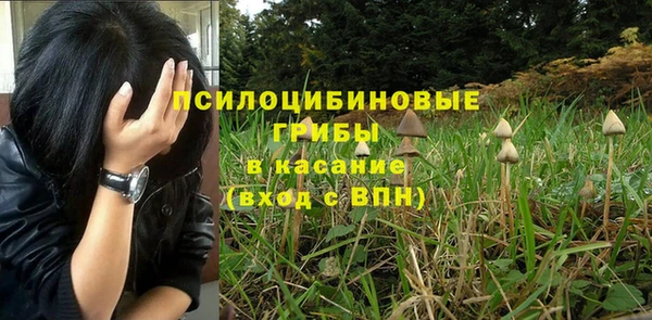 герыч Бородино