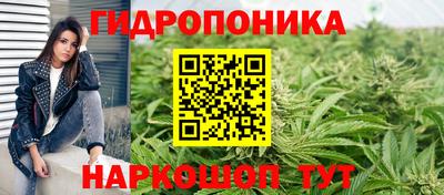 PSILOCYBIN Мариинск