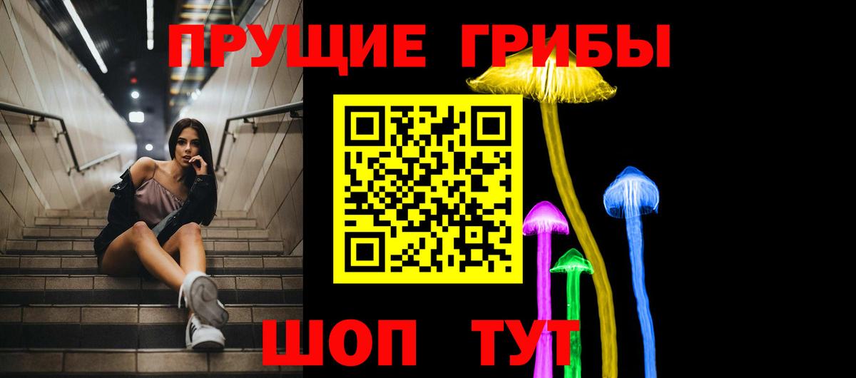 Выборг  Галлюциногенные грибы MAGIC MUSHROOMS  Галлюциногенные грибы мухоморы  Вход с VPN 