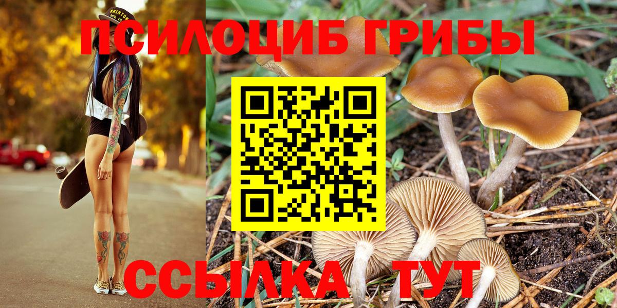 Галлюциногенные грибы Cubensis Выборг